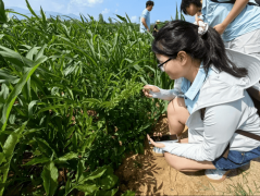 毛堰村村集体正在